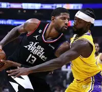 多特蒙德训练开放日，窗口期回应争议引欢呼，NBA季后赛在即，轮换策略成焦点的简单介绍