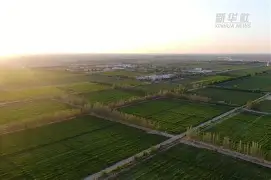 包含熙Q7鎴H?t頕浢亩/4焌?hO杪谩的词条-友博棋牌